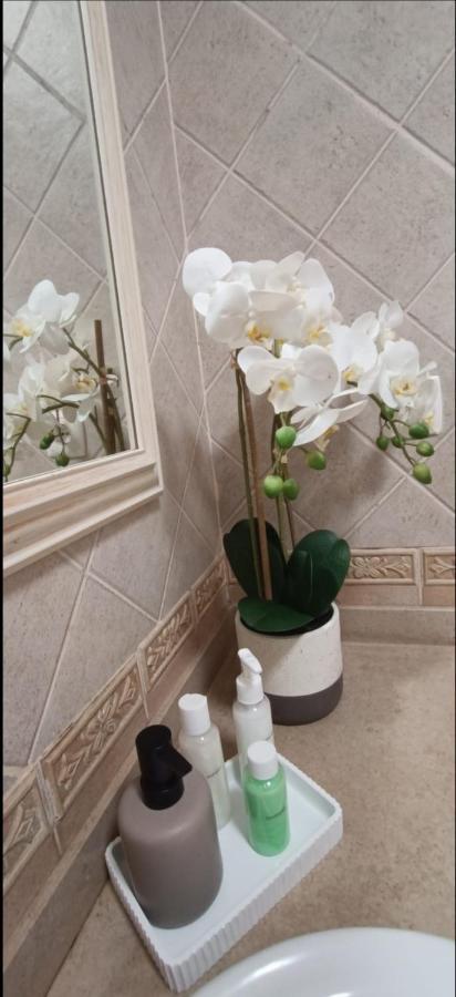 Recanto Das Tertulias - Apartamento 3 Quartos - Perfeito Para Familias E Amigos Apartment Lagos Ngoại thất bức ảnh